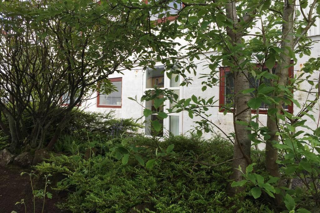 The Perfect Base In Torshavn Apartman Kültér fotó